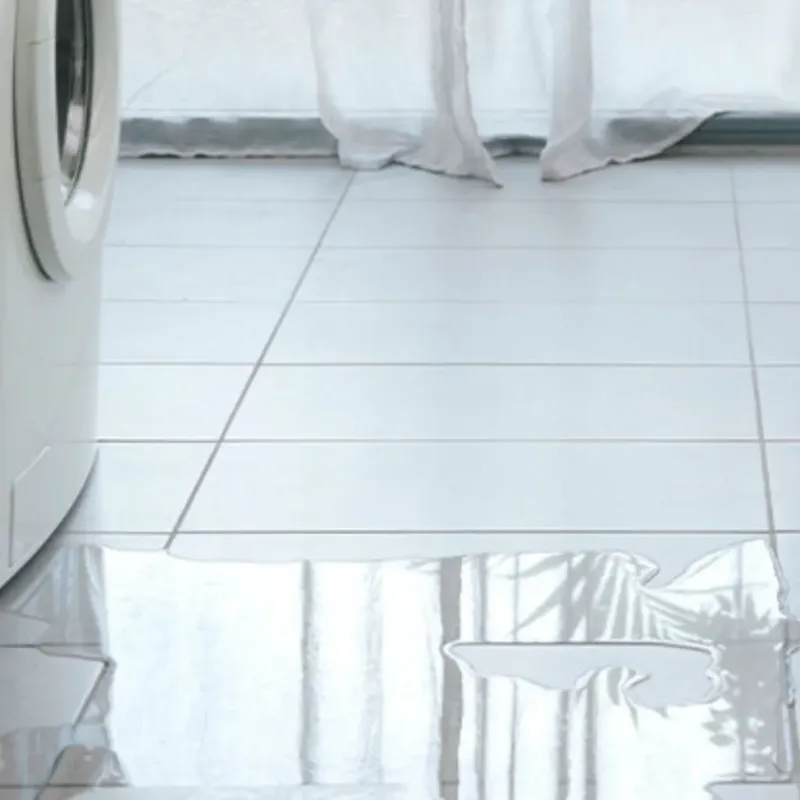 Appliance Leak Cleanup in Wickliffe, KY