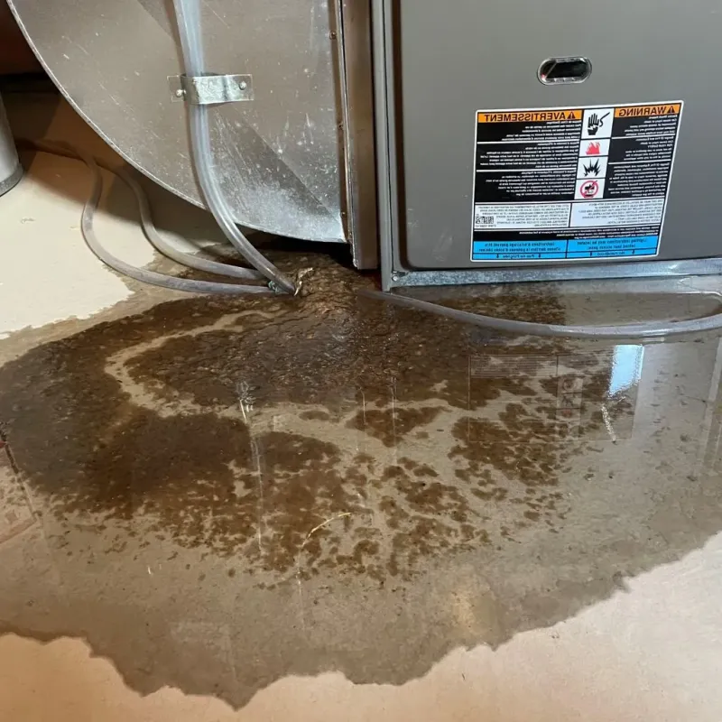 Pipe Burst and Leak Restoration in Wickliffe, KY