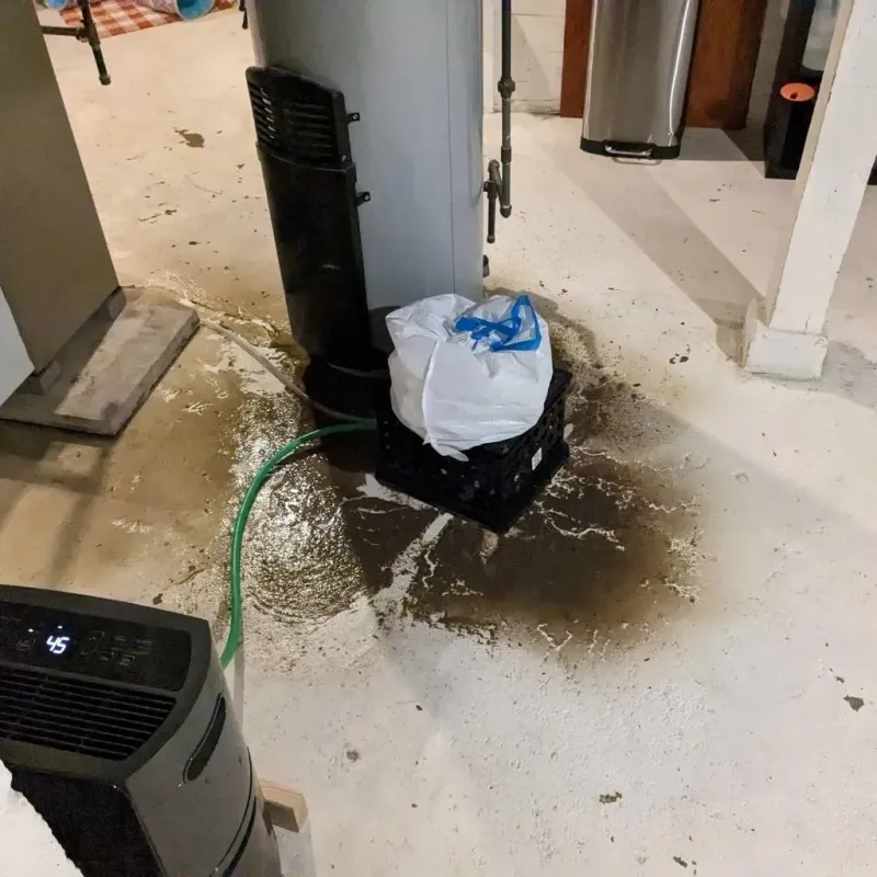 Sewage Backup Cleanup Service in Wickliffe, KY